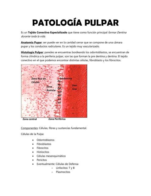 Patologia pulpar 