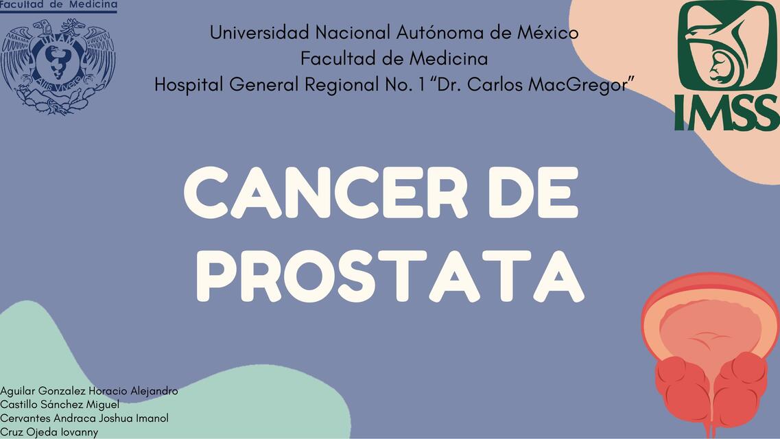 Cancer de prostata en el adulto mayor