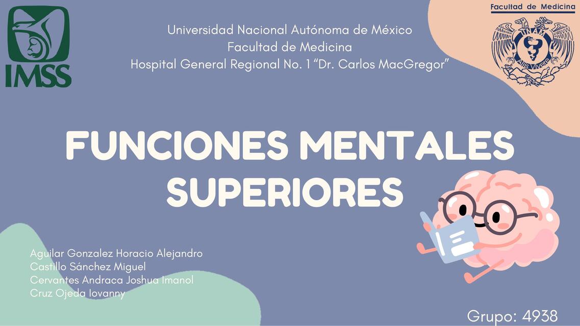 Funciones mentales superiores en el adulto mayor