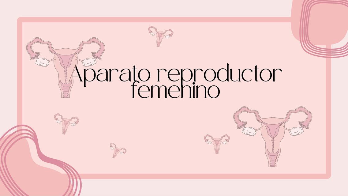 Presentación Aparato reproductor femenino