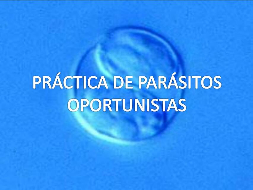 PRACTICA DE PARASITOS OPORTUNISTAS corregido