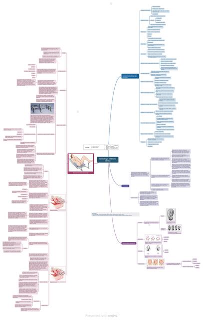 Semiología ginecobstétrica