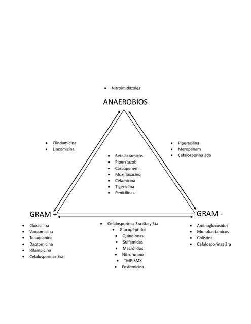 Triangulo Esquema antibioticos