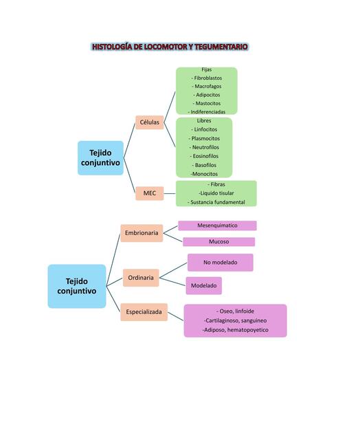 HISTOLOGÍA DE LOCOMOTOR