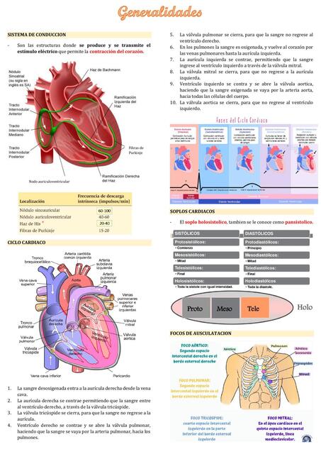 CARDIOLOGIA 1 2