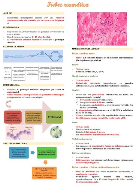 CARDIOLOGIA 10 11