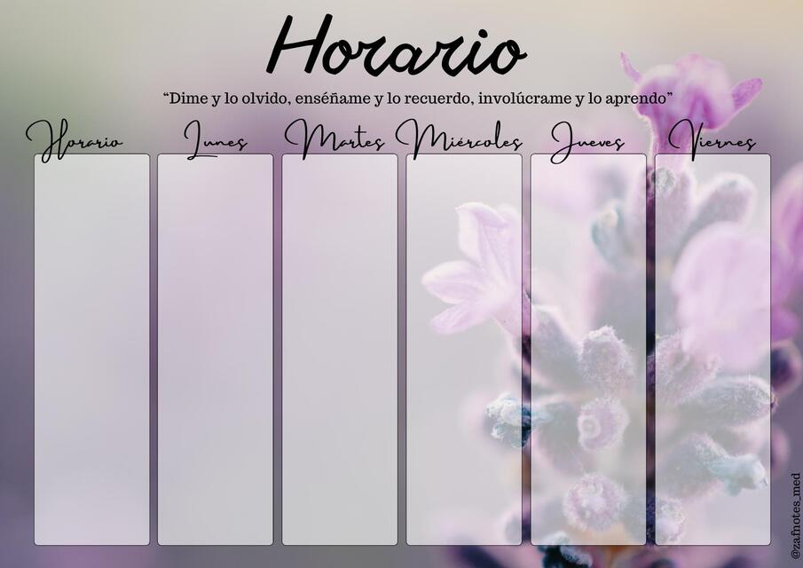 Horario lila