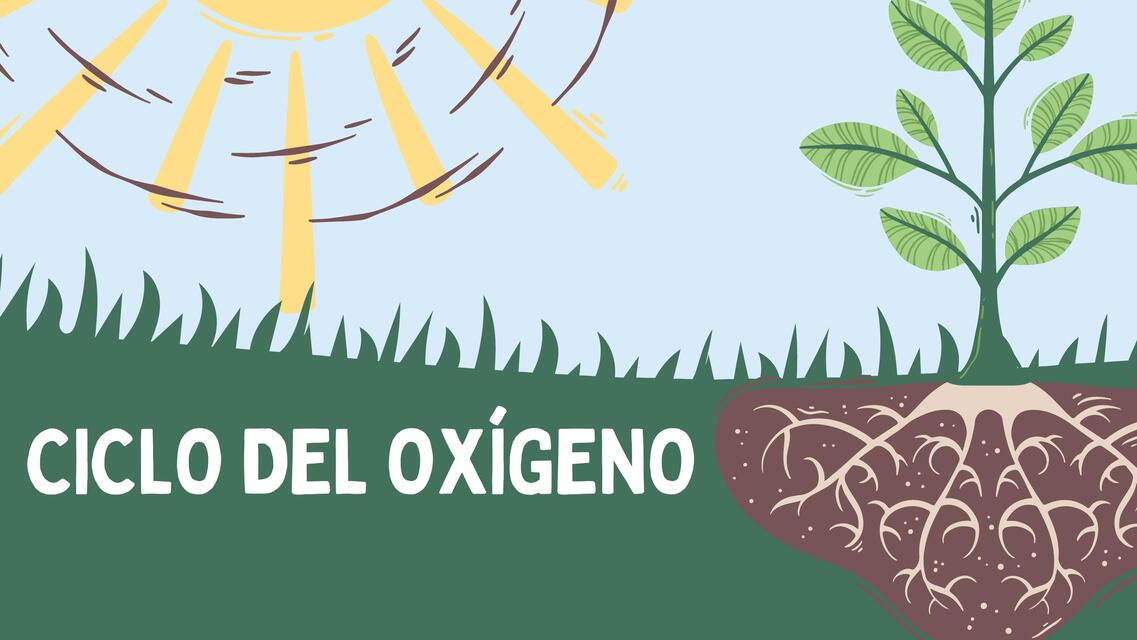 Ciclo del oxígeno