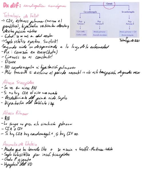 Cardiopatías Congénitas: Diagnóstico diferencial