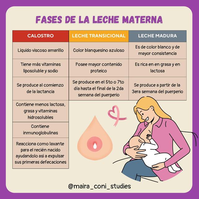 Fases de la leche materna y beneficios en la madre | @maira_coni_studies