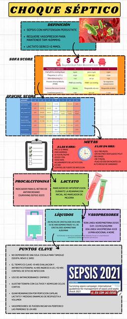 Infografía choque séptico