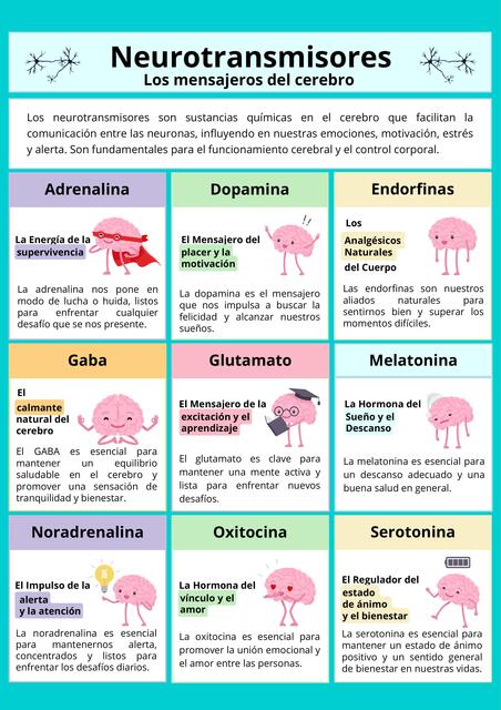 Neurotransmisores