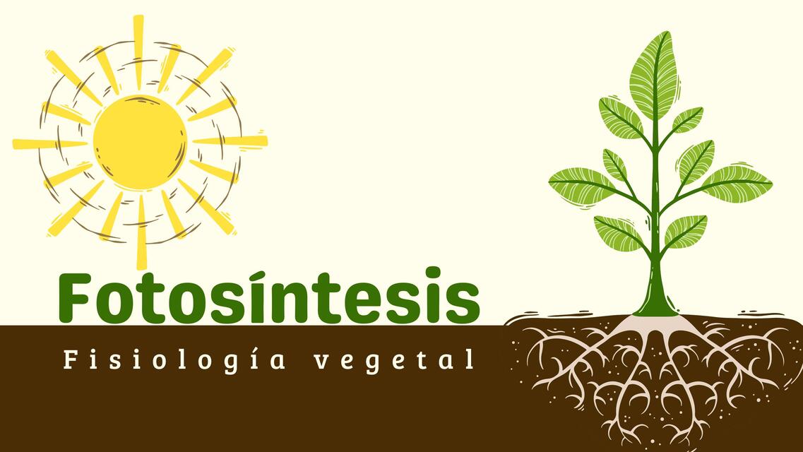 Fotosíntesis - Biología