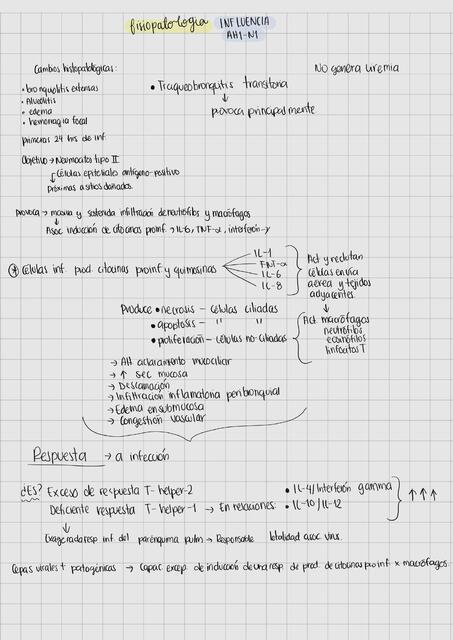 Fisiopatología de Influenza AH1N1