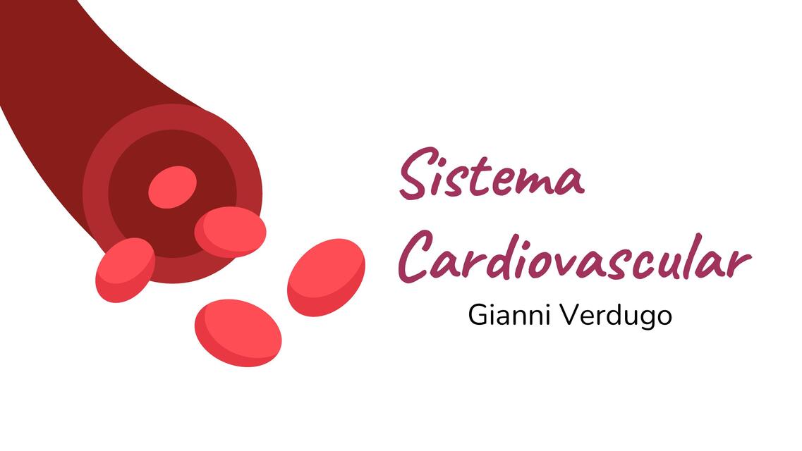 Sistema cardiovascular - Generalidades