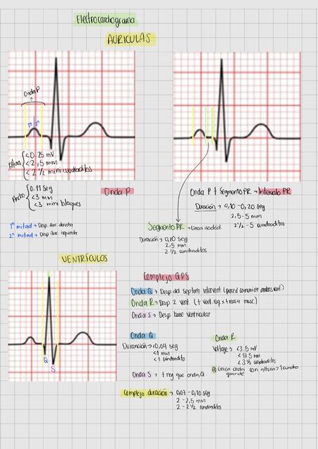 ECG PARÁMETROS NORMALES