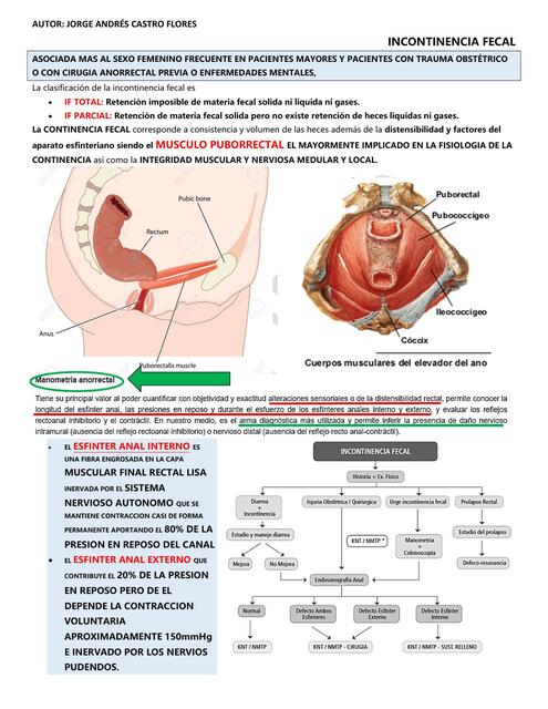 resumen cirugia