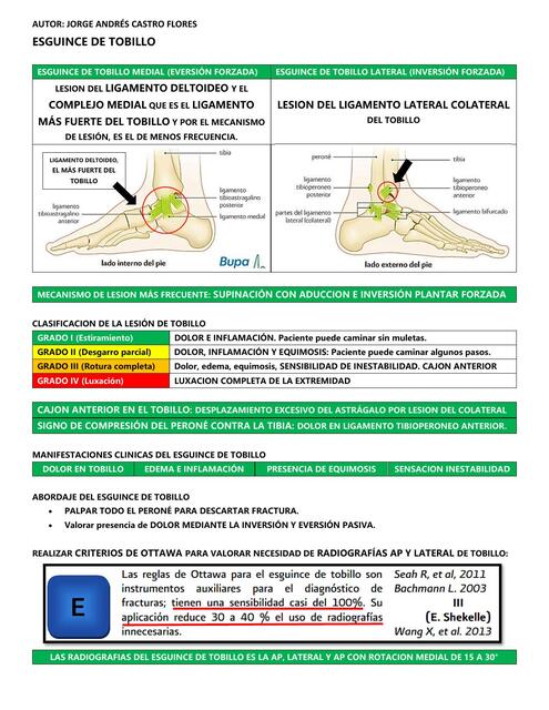 resumen cirugia