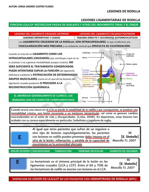 resumen cirugia