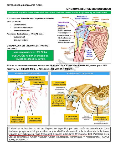 resumen cirugia