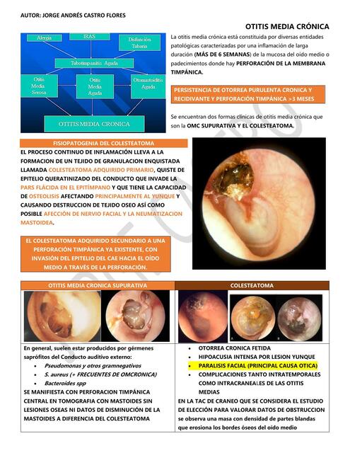 resumen cirugia