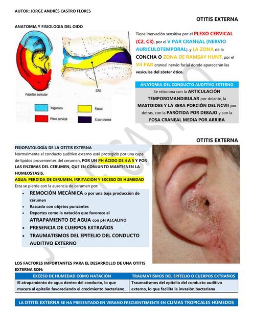 resumen cirugia