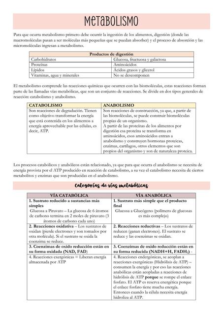 Metabolismo - Resumen