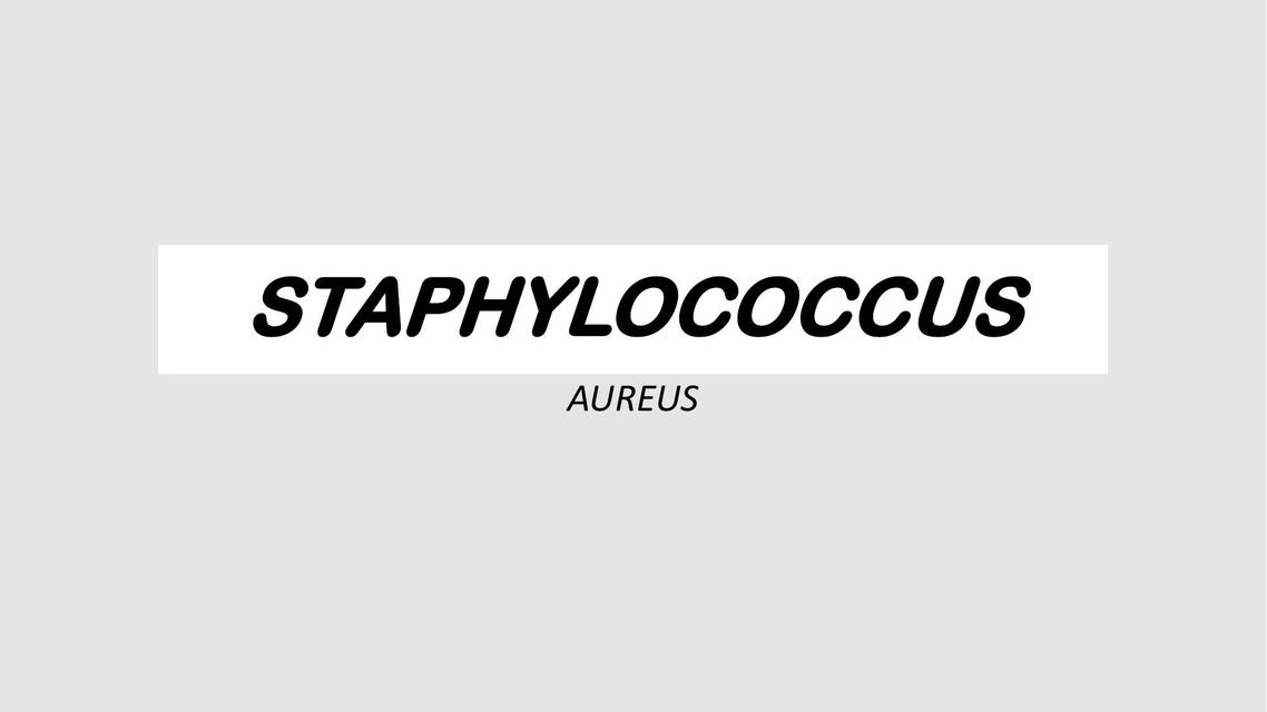 Staphylococcus Aureus (Características generales)