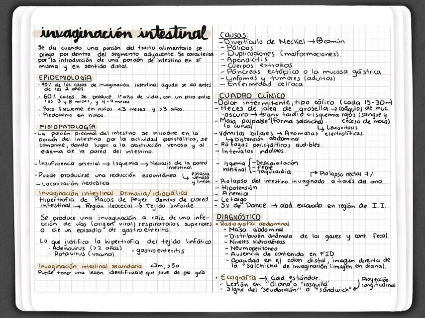 Invaginación intestinal