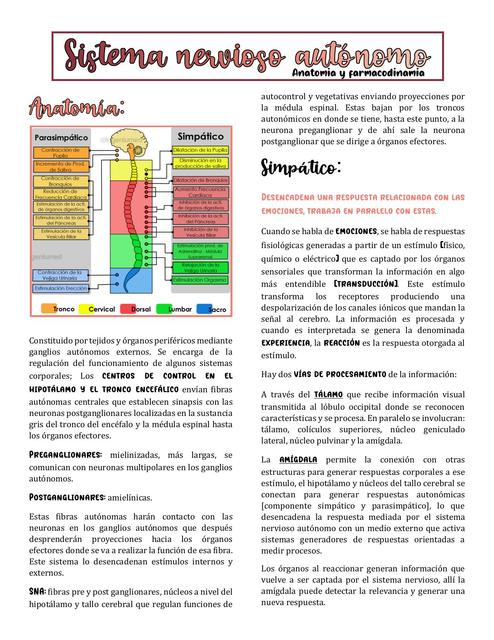 Sistema Nervioso Autónomo Anatomía y Farmacodinamia Básica