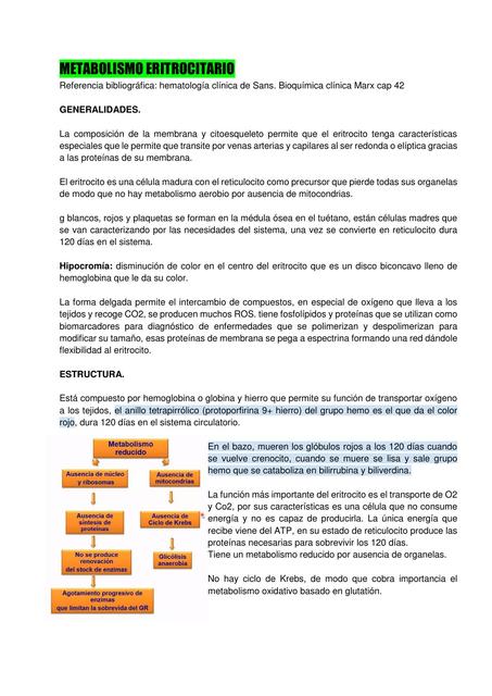 Metabolismo Eritrocito Completo