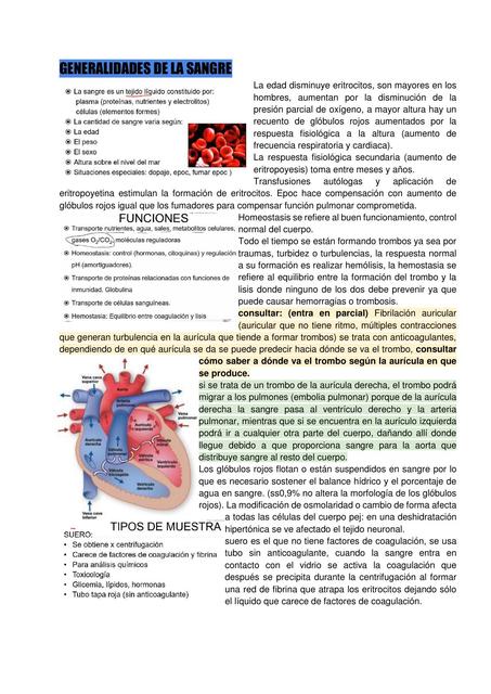 Generalidades de la Sangre