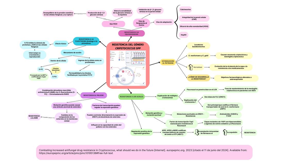 Resistencia del género Cryptococcus