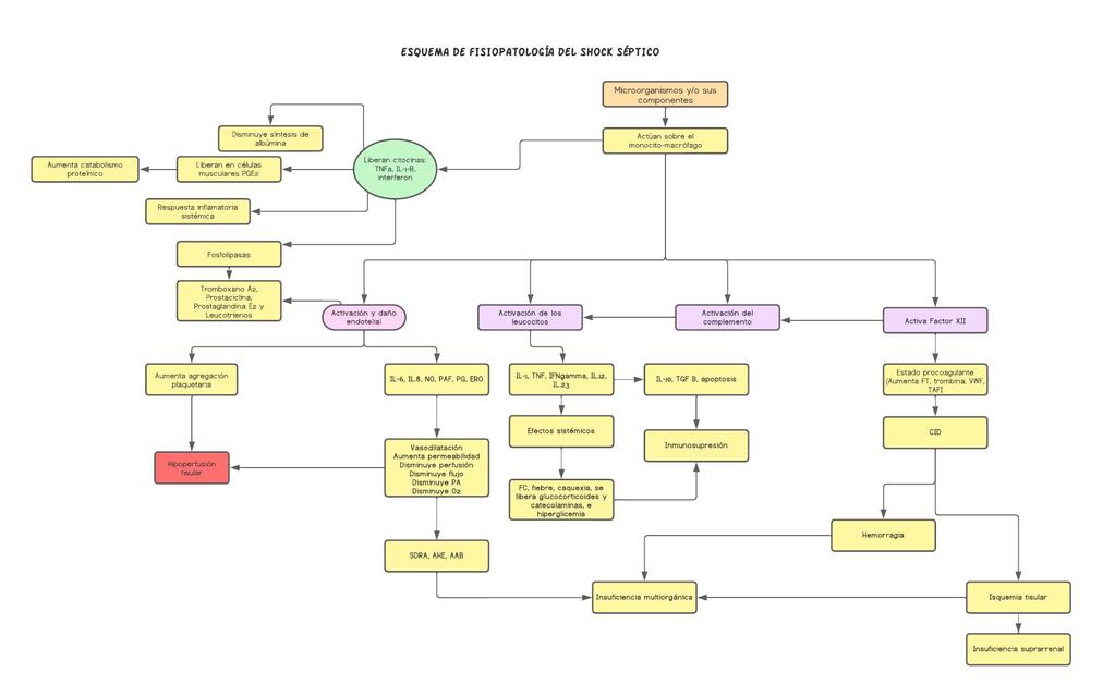 FISIOPATO 2 SHOCK SEPTICO
