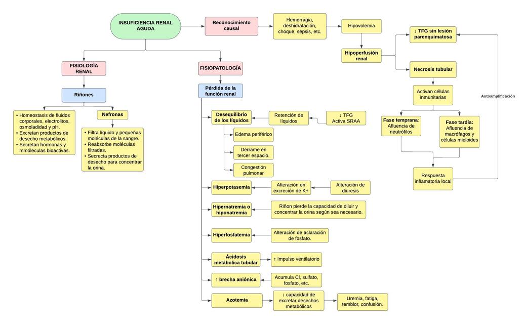 FISIOPATO 6 INSUFICIENCIA RENAL AGUDA