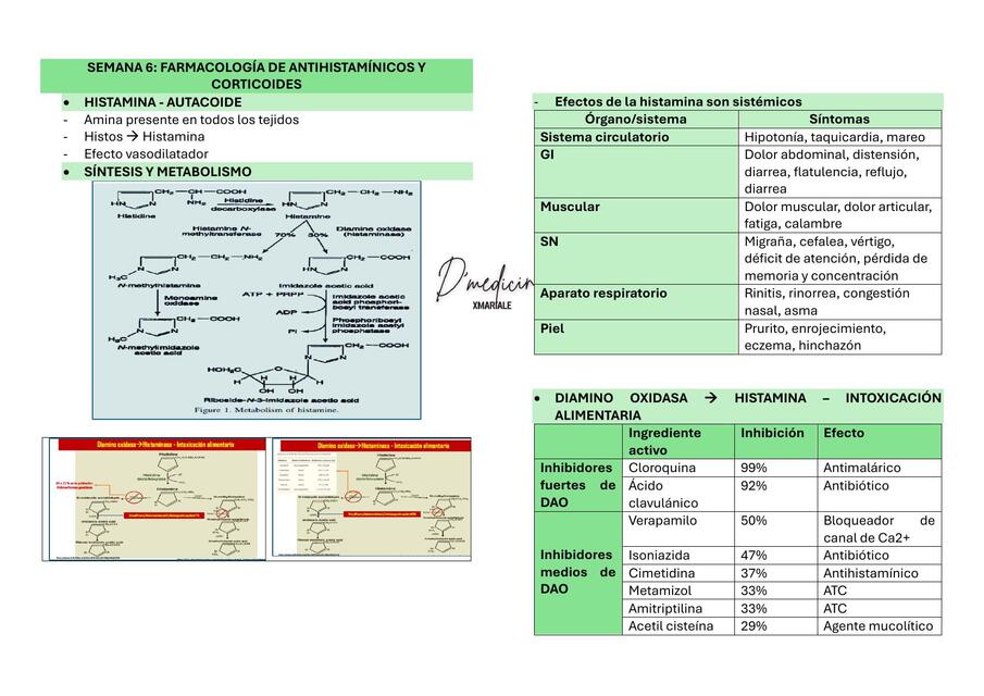 FARMACO TEO S6 Antihistamínicos