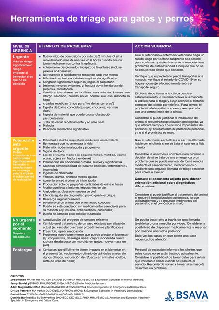 BSAVA Triage Tool Spanish 1