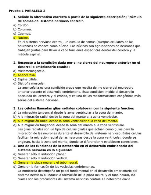 Prueba 1 PARALELO 2 anatomia humana