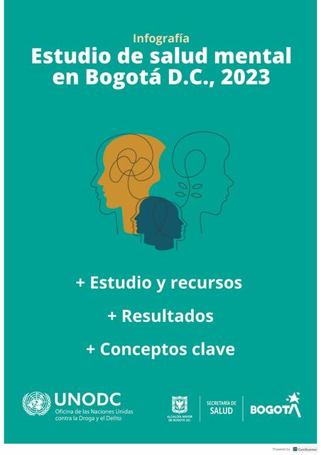 Infograf a Estudio de salud mental en Bogot D C VF | MAYRA LISBETH ...