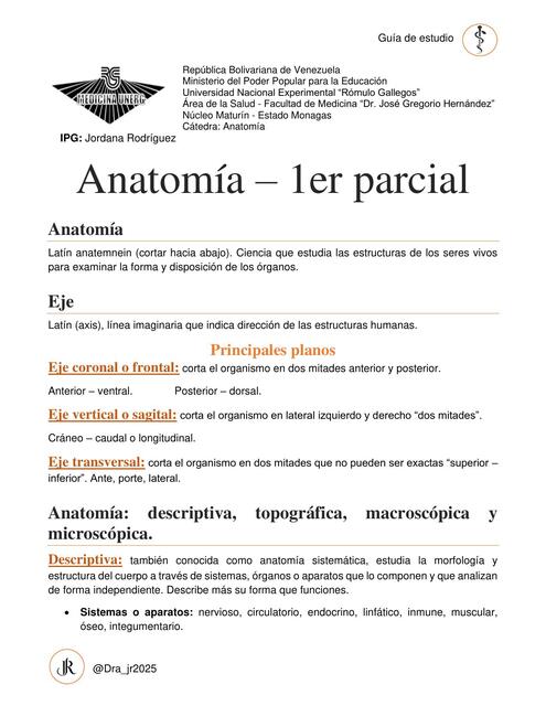 Anatomía básica