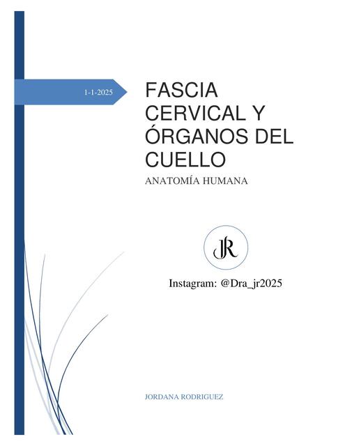 FASCIA CERVICAL Y ÓRGANOS DEL CUELLO