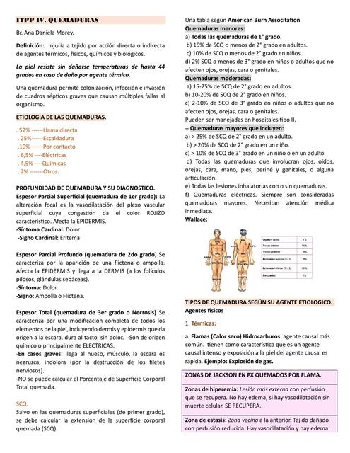 ITPP IV QUEMADURAS