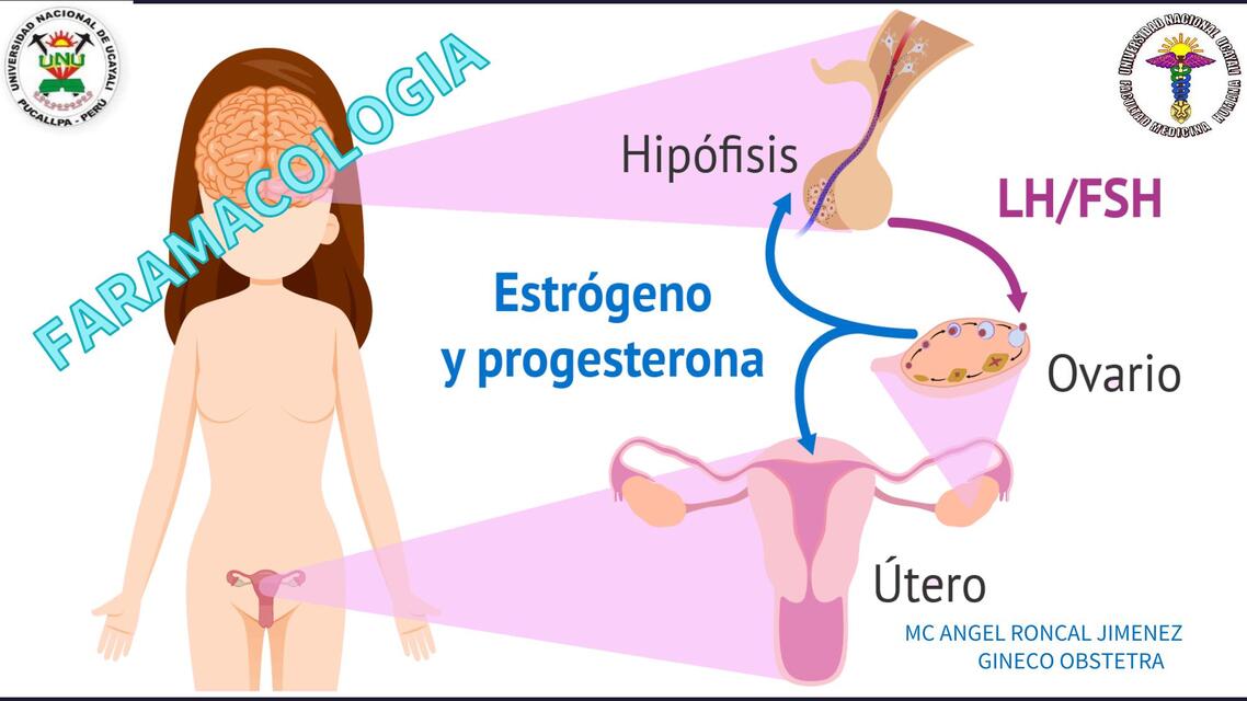 estrogeno progesterona