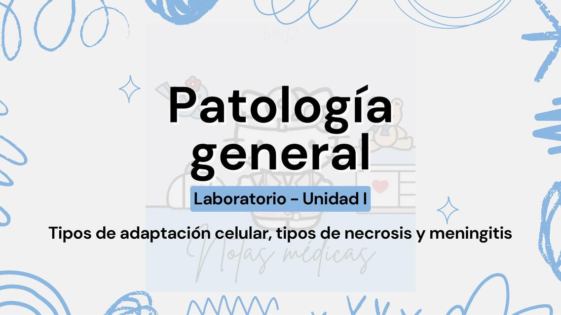 Lab 02 Tipos de adaptación celular, tipos de necrosis y meningitis