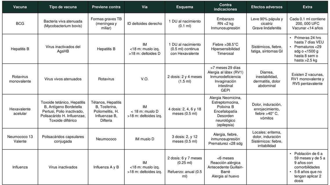 Esquema vacunación actualizado