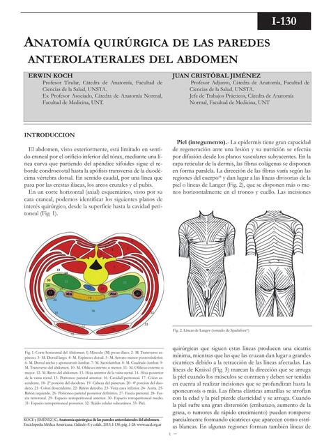 Anatomía quirúrgica de las paredes anterolaterales