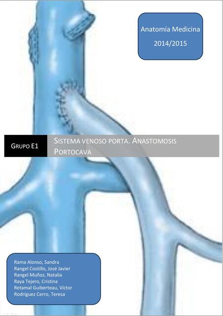 Sistema venoso porta Anastomosis portocava