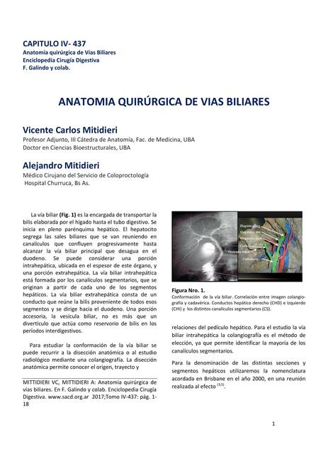 Anatomía quirúrgica de vías biliares