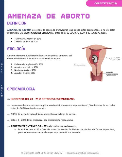 6 Amenaza de Aborto