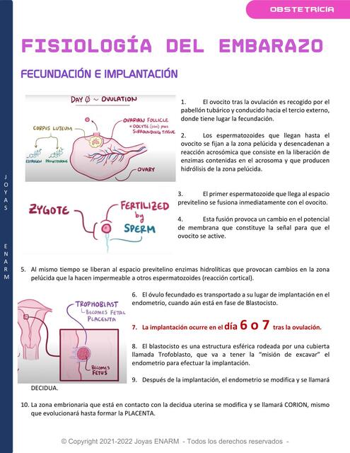 1 Fisiología y Adaptación del Embarazo